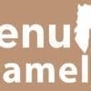 Fenu Camel supplement for camels